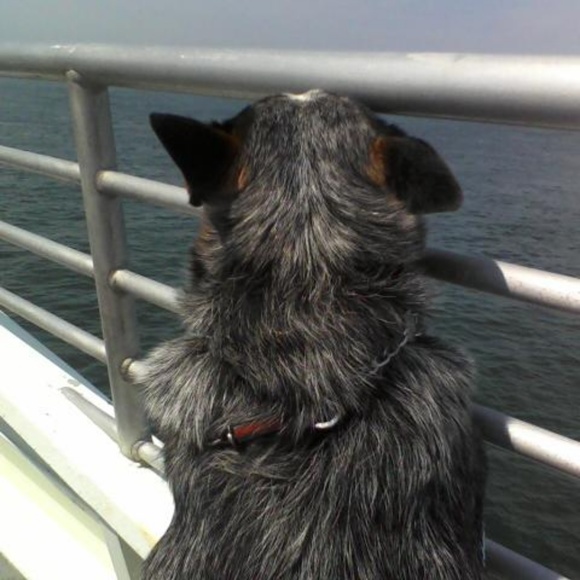 Meet your Posher, Marianna - Picture 6 of 7